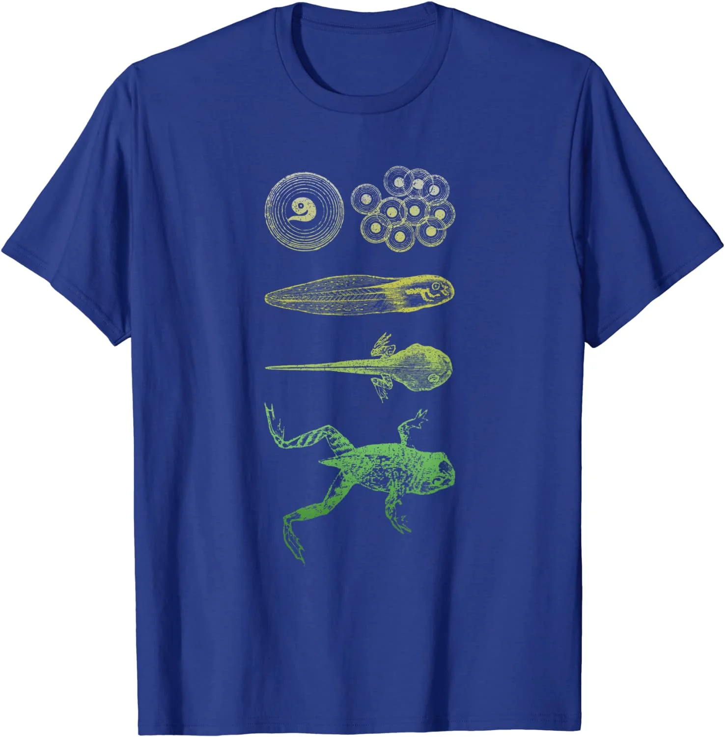 Frog Tadpole T-Shirt Metamorphosis Life Cycle Biology Tee