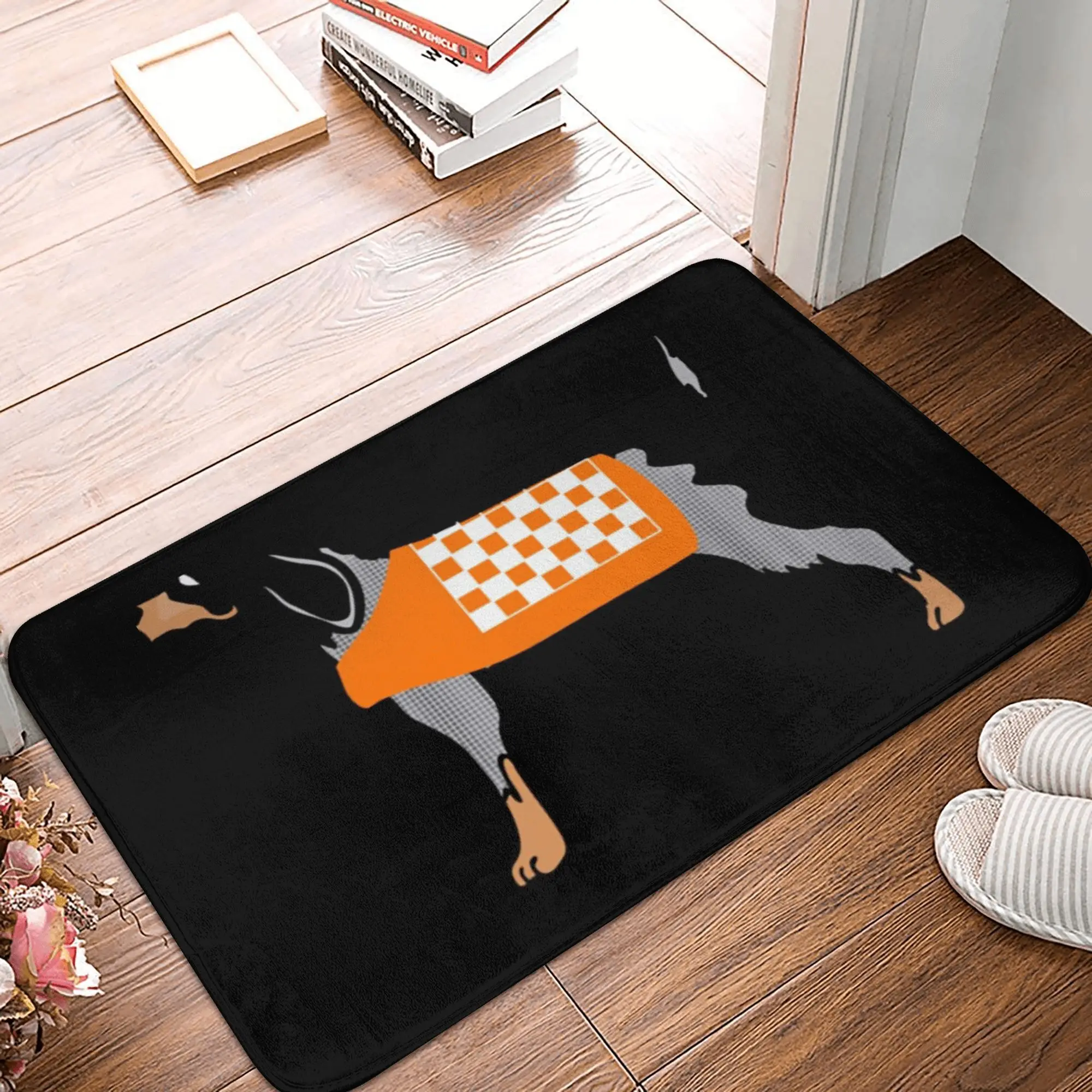 Smokey Anti-slip Doormat Floor Mat Sand Scraping Carpet Rug for Kitchen Entrance Home Bedroom Footpad Mats