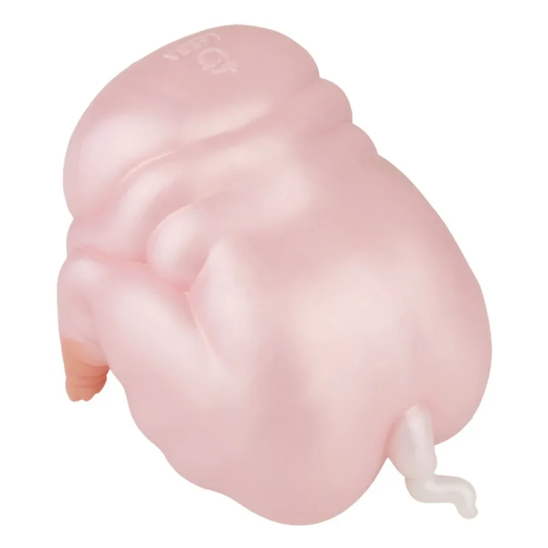 الحيوانات الغريبة سيليكون مقلوب ذكر طائرة كأس القضيب لعبة تدريب الحيوان الغريبة الورك مقلوب الاستمناء اسم جهاز ألعاب جنسية #2