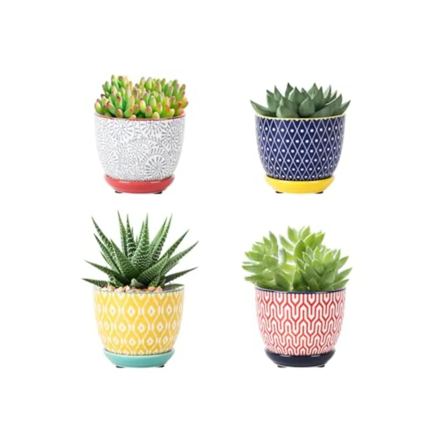 

Ceramic Succulent Pots with Drainage Holes, Small Flower Pots 3.5 Inch Plant Pots for Indoor Plants with Saucers, Cactus Succul