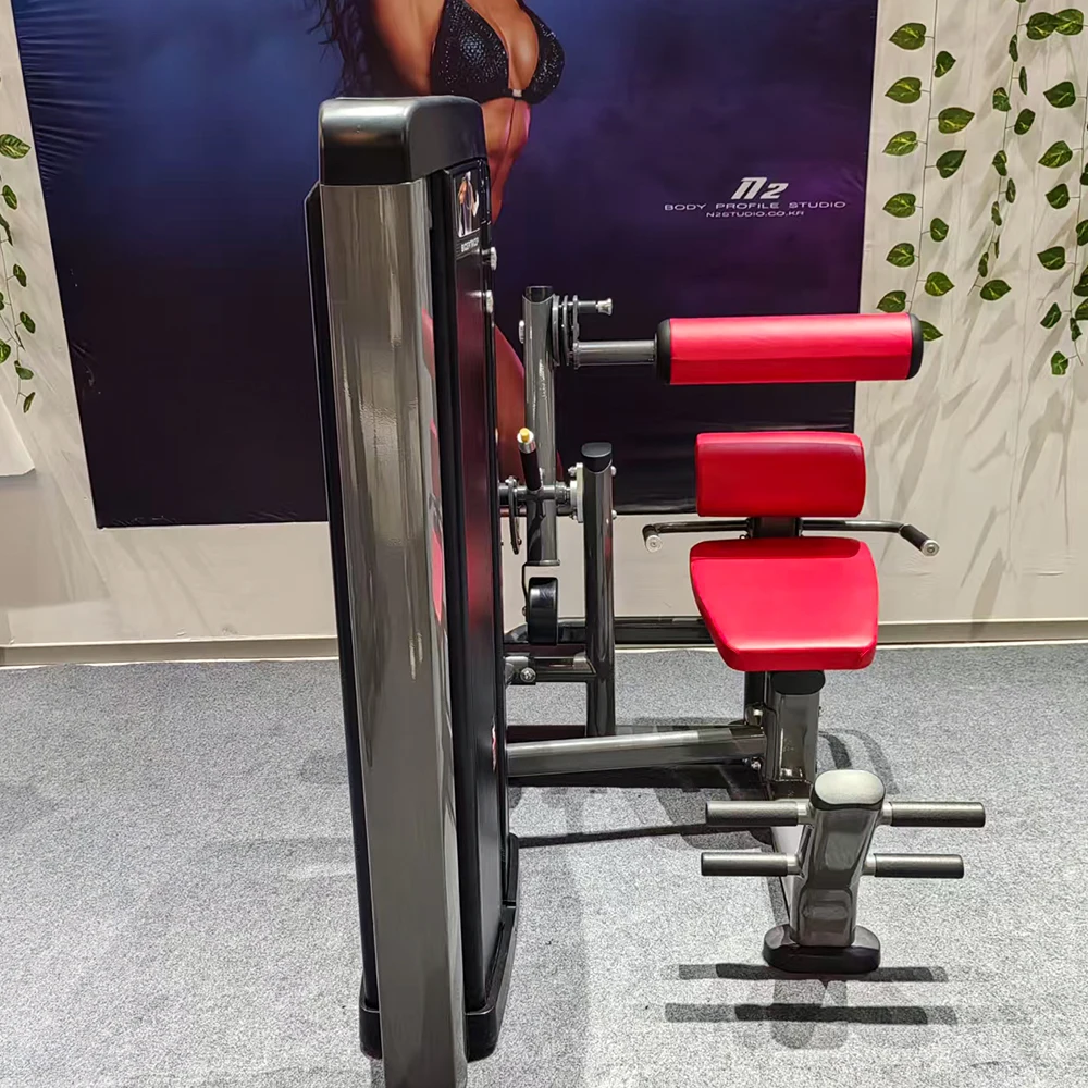Máquina de extensión de espalda comercial profesional, equipo de gimnasio para entrenamiento de fuerza muscular, 2025