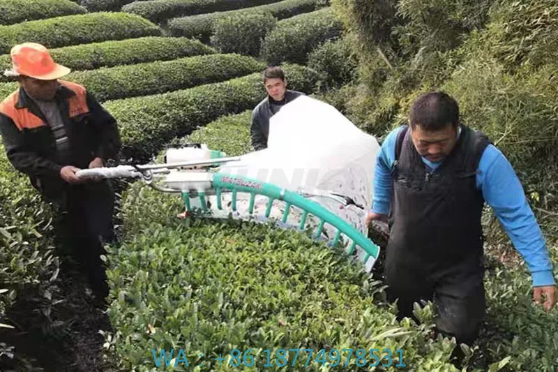 

Machine With Different Blade LengthTwo Man Operated 2 Stroke Power Tea Harvester Plucking