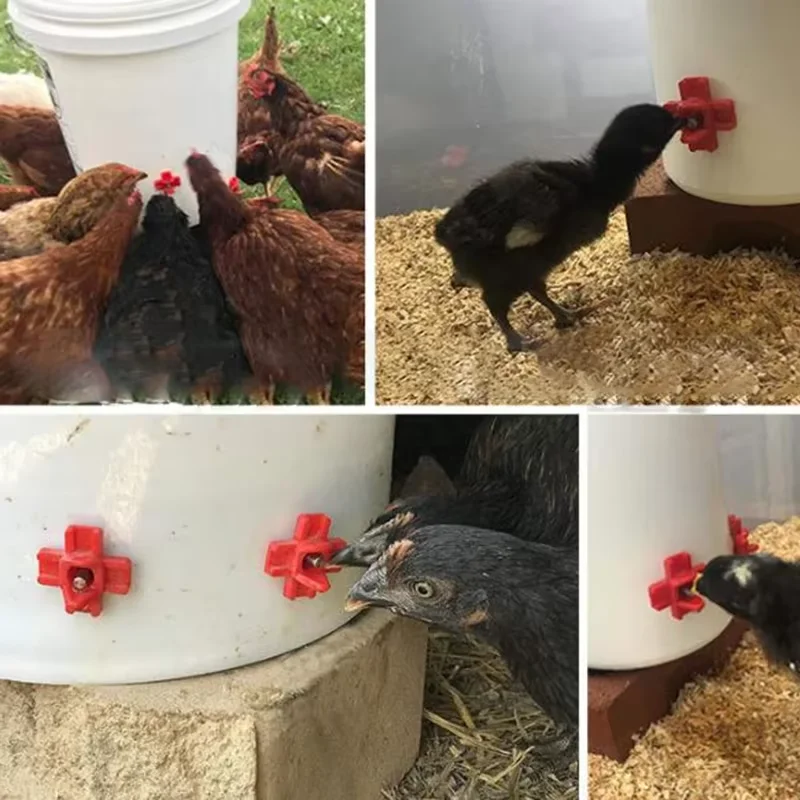 5/10/20pcs Horizontal Side Mount Automatic Poultry Chick Nipples Drinkers System for Poultry Chickens Quails Birds Farm Supplies