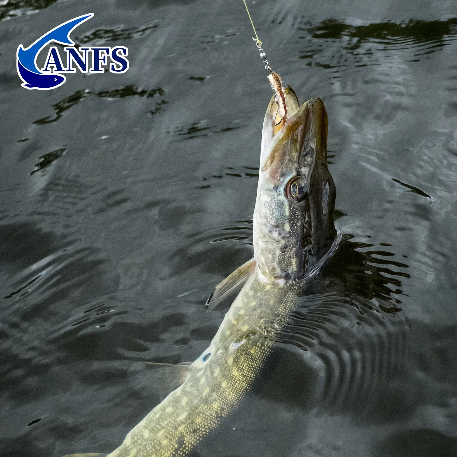 Moscas ANFS Nymph y Seca Atadas a Mano para Trucha - imagen 3