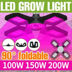E27/E26 LED Plant Grow Light Full Spectrum Indoor Flower Seedling Hydroponics Greenhouse Tent Vegetable Cultivation Growing Lamp