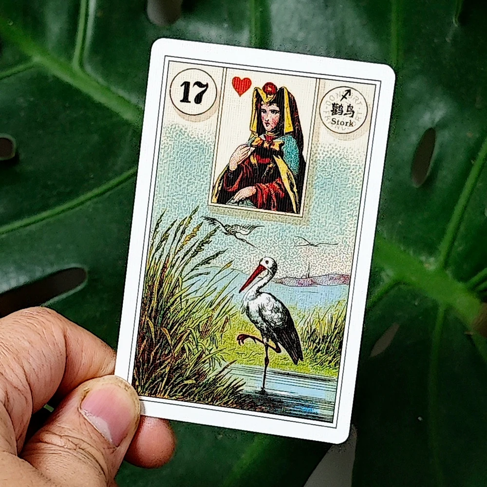 

36 Pcs Lenormand Cards French Cartomancy Lenormand Deck 9*6cm In Chinese and English Language Bilingual Edition Classic Deck