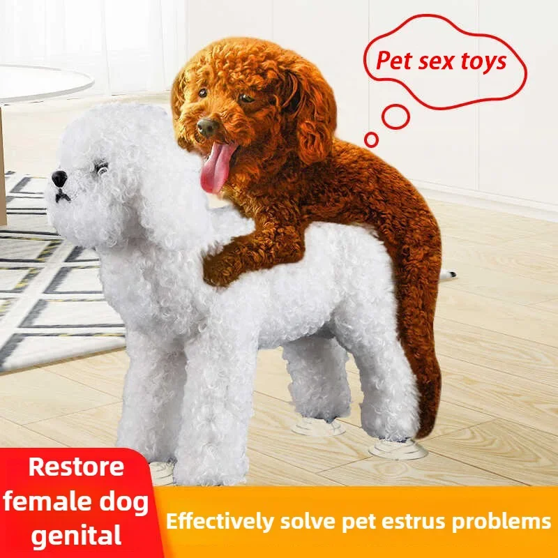 Teddy Mating Sex Doll For Male Dog Sexual Partner Erotic Toy Female Fidget Silicone Interactive Pet Supplies
