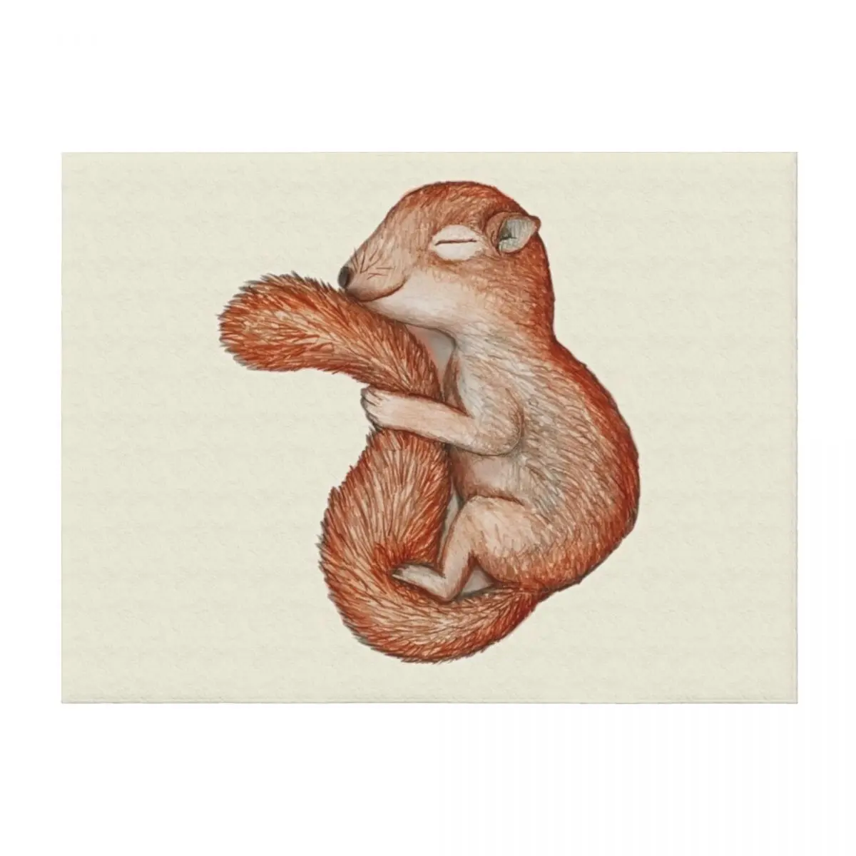 

Hibernating squirrel Throw Blanket Furrys Decorative Sofas decorative Shaggy Blankets