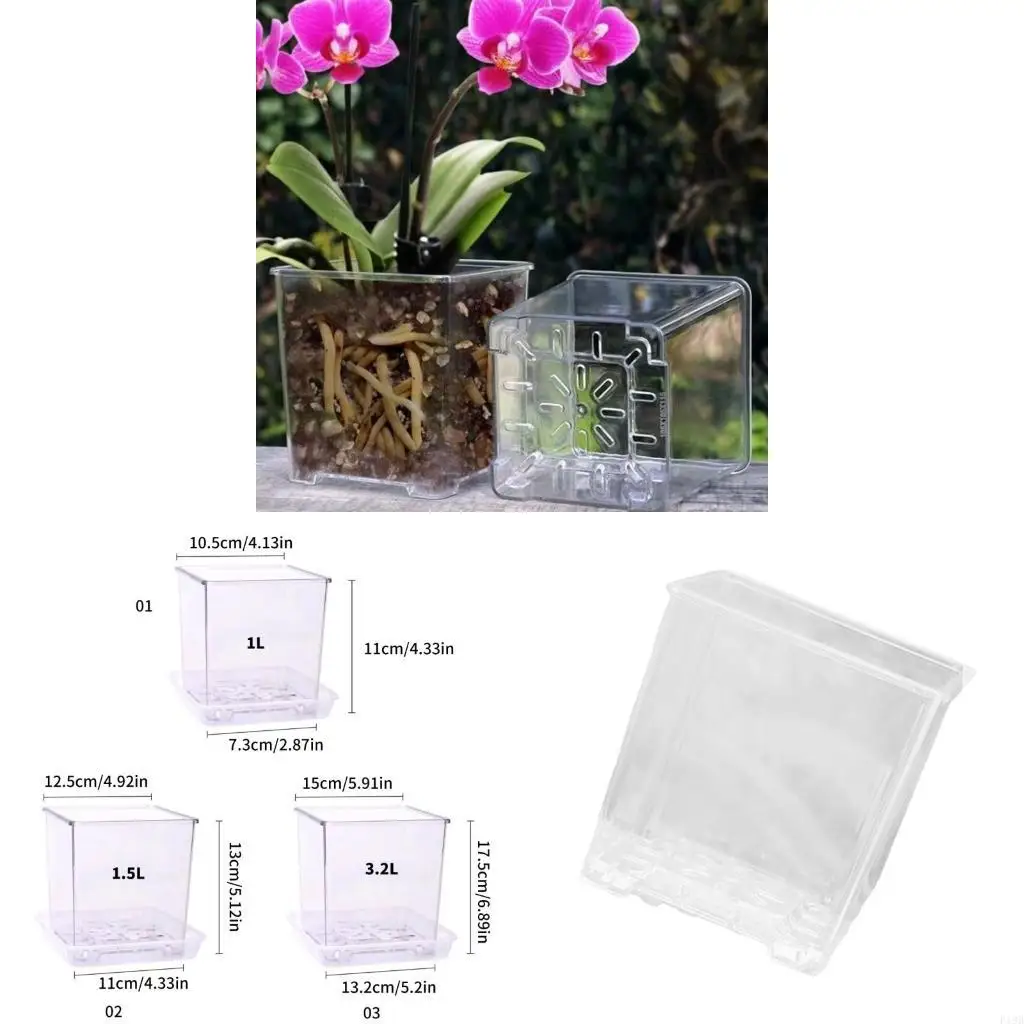 F19B Clear Breathable Plant Container Desktop Ornament Planter Plant Pot Craft