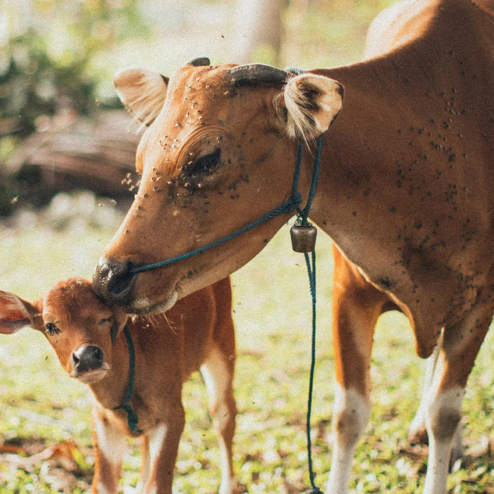 

2 шт. высококачественные утолщенные фермерские колокольчики для овец, лошадей, коров, скота, система сигнализации, портативный подвесной декор, аксессуары для фермерства