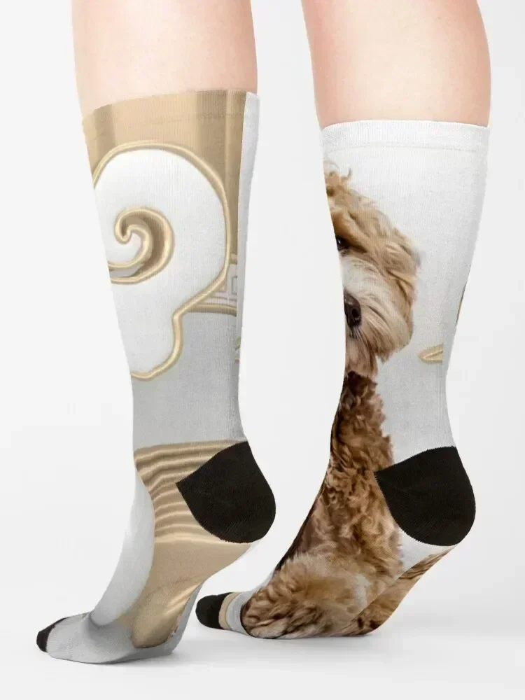Goldendoodle Golden Background Photo Collage Socks Toe sports new in's floor professional running Girl'S Socks Men's