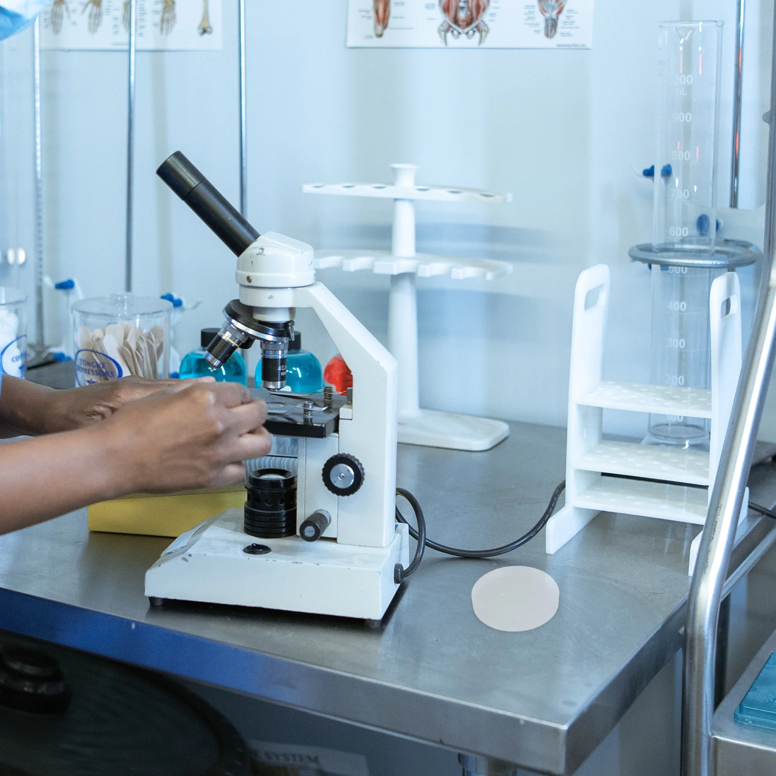 

1Set Clear Plastic Culture Dishes with Lids Deep Cell Culture Dish Laboratory Petri Dishes Plastic Transfer Pipettes for Lab