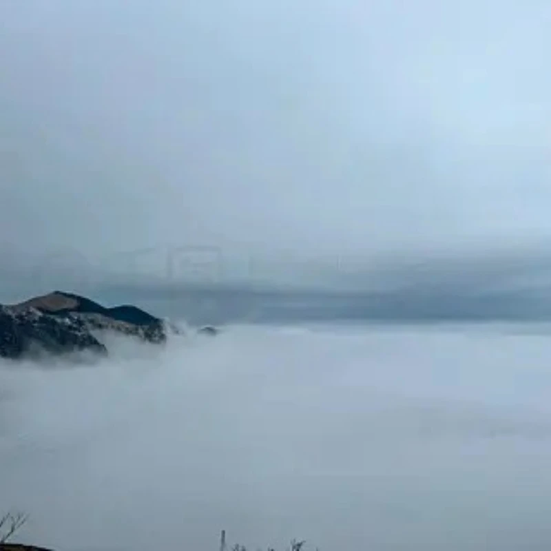 

T-HOBBYT-MOTOR AM600 Combo 525KV/555KV (AM600 AM116 16 x8Prop) Trigger Extreme Potential with up To 8298g Thrust