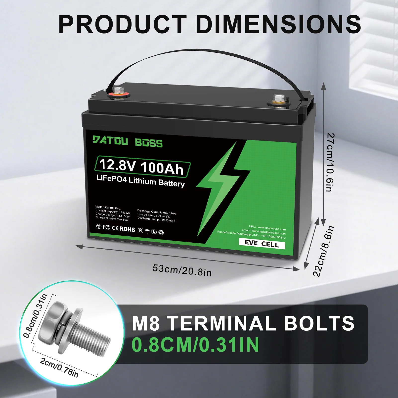 DATOUBOSS 12V 100Ah LiFePO4 Battery With BMS 8000Cycles Lithium