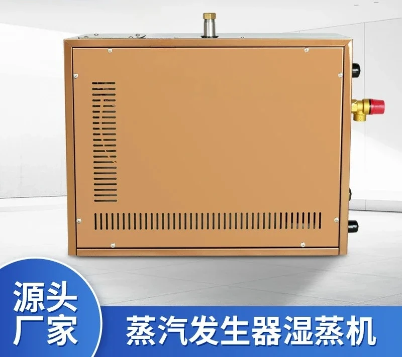 Household stainless steel sauna steam engine