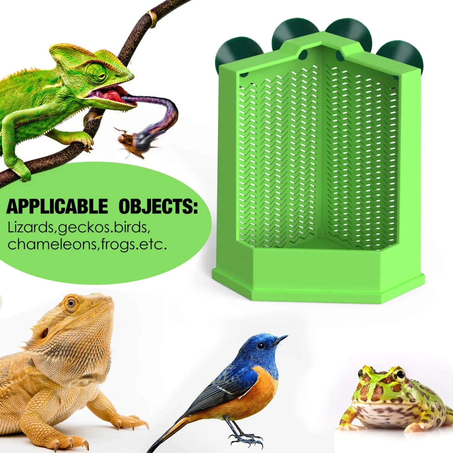 Escape-Proof Corner Reptile Feeder Bowl with Suction Cups 6