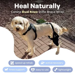 Dog Knee Brace For Support With Cruciate Ligament Injury, Joint Pain And Muscle Sore, Better Recovery With Dog ACL Knee Brace