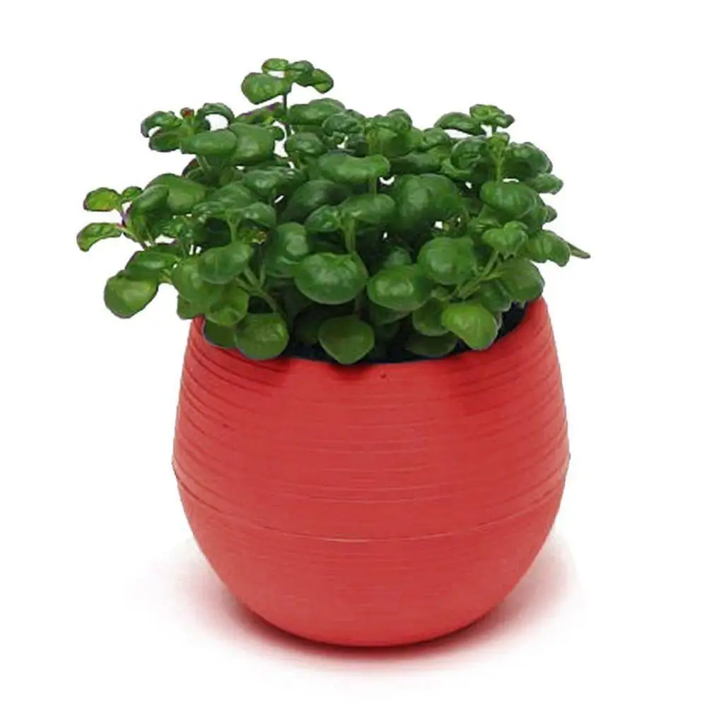 Mini Flowerpot Cute Solid Color Succulent Plants Succulent Flower Pot Saucer Tray Planter Home Desk Garden Decoration Planters