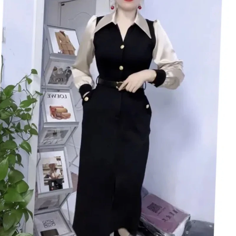 Spring Autumn New Fashion POLO Collar Long Sleeve Patchwork Women's Clothing Color Blocking Button Temperament Thin Slim Dresses