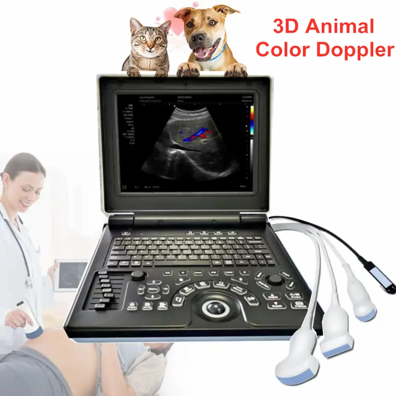 Small Big Animal Veterinary Pet 3D Notebook Color Doppler Ultrasound Diagnostic Machine