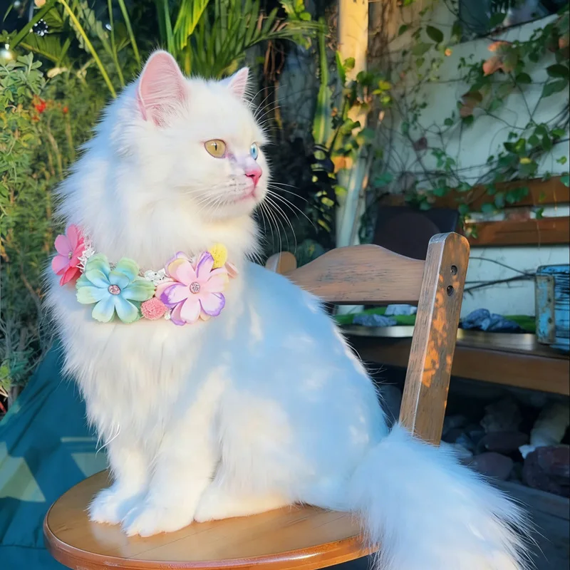 Magnifique collier coloré à fleurs pour animaux de compagnie, collier réglable pour chat, collier doux pour chat/chien, accessoire pour animaux de compagnie, accessoires de photographie