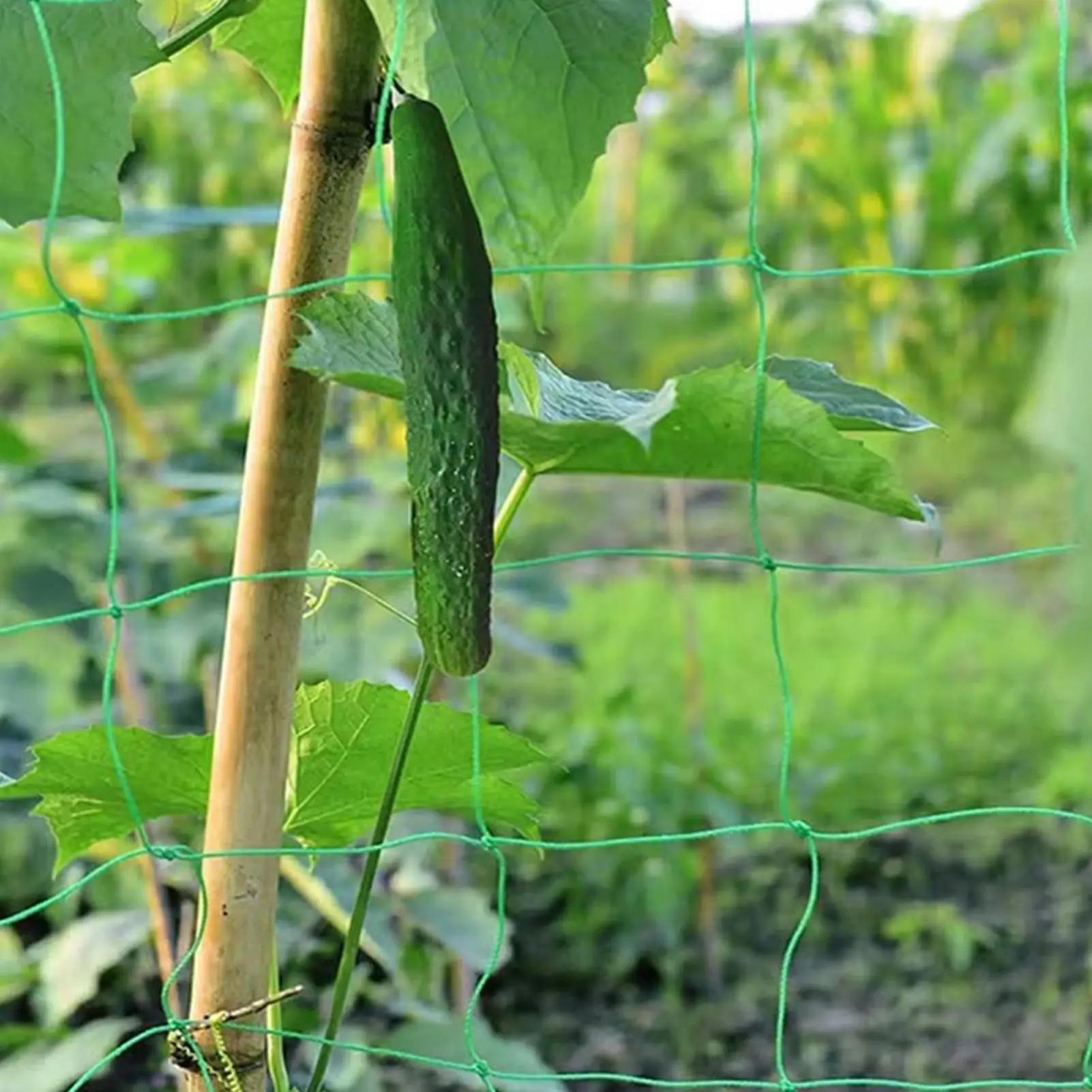 Plant Climbing Net Tree Netting Plant Support Durable Nylon Trellis Netting Pumpkin Mesh for Beans Tomatoes Peas Climbing Plants - view 3
