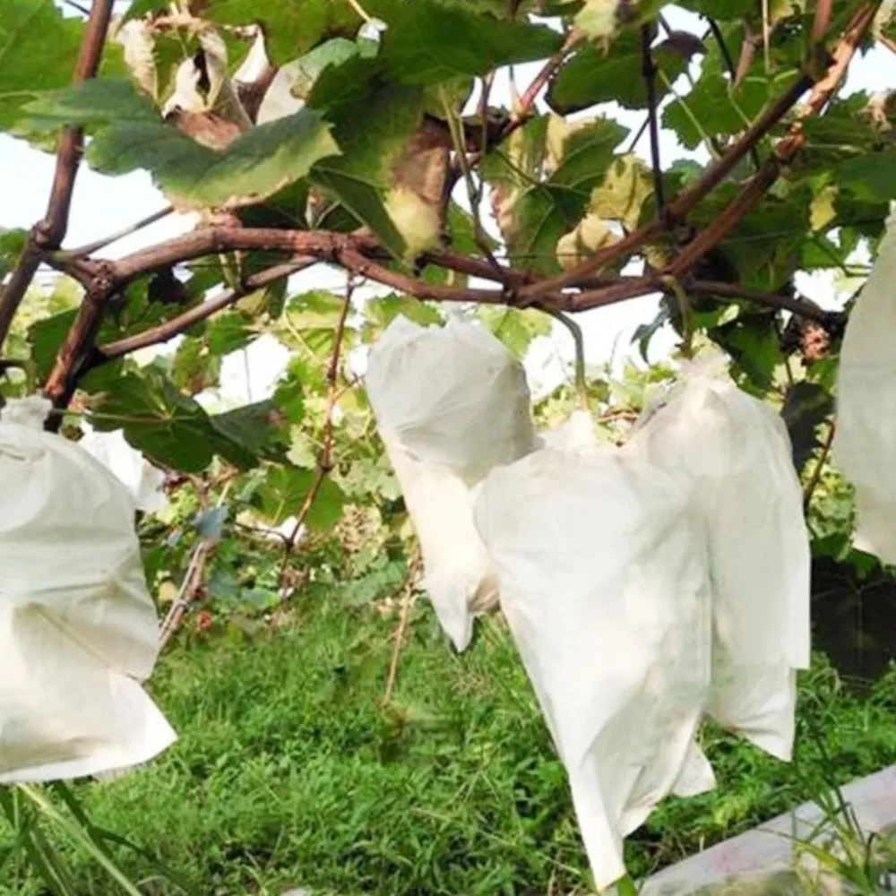 100Pcs Non-woven Fruit Protection Bags Breathable Anti-bird Insect Barrier Pouch Anti-sun Corrosion-resistant Insect Proof Bag