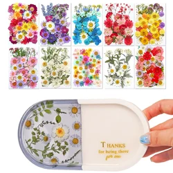 Dried Flowers Real Natural Plant Pressed Flower for Tray Mold Epoxy Resin DIY Coaster Making Decoration Home Accessories Crafts