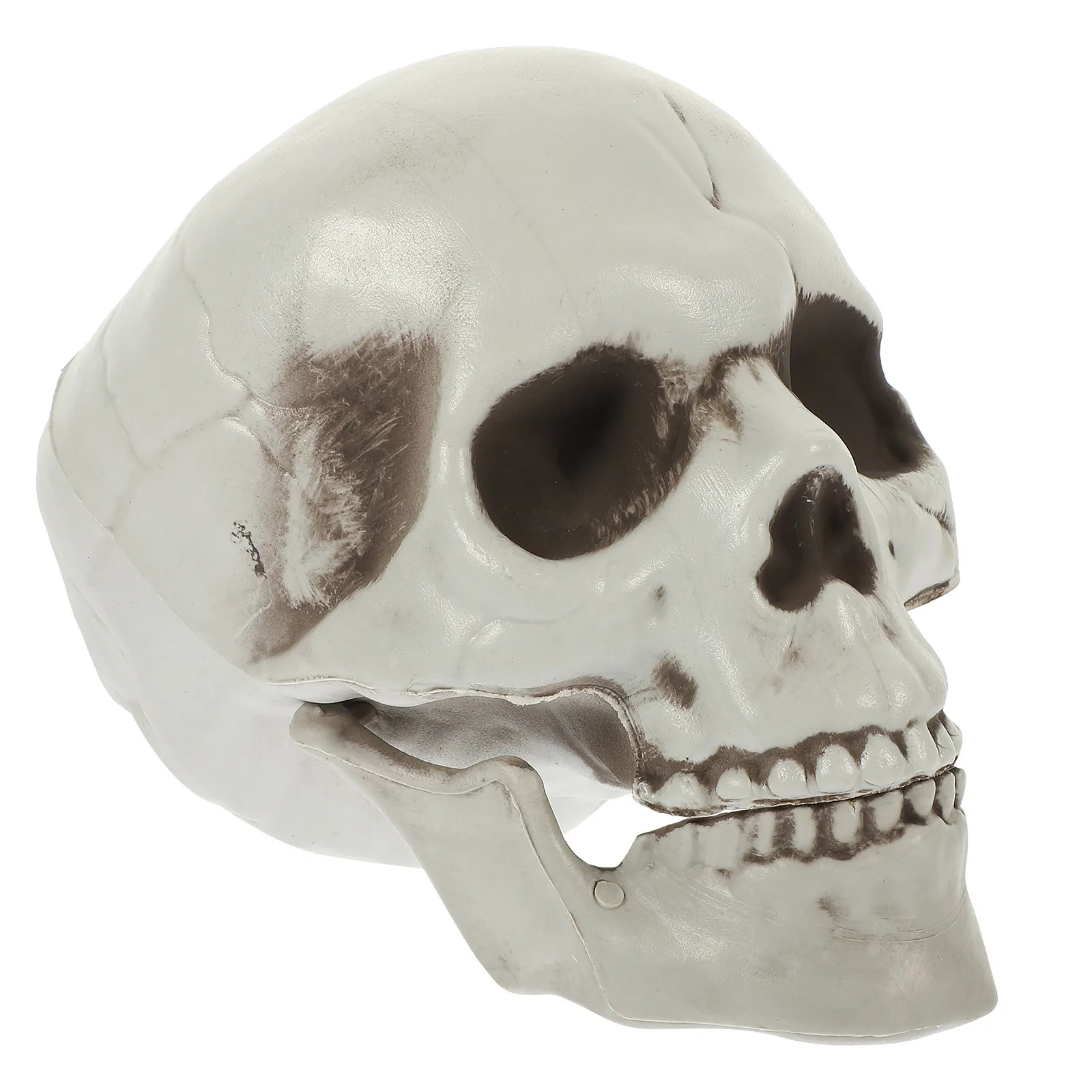 Skull Ornament Pe Lightweight Realistic Halloween Party Decor Home Office Scary Skull Prop Simulation Haunted House Layout