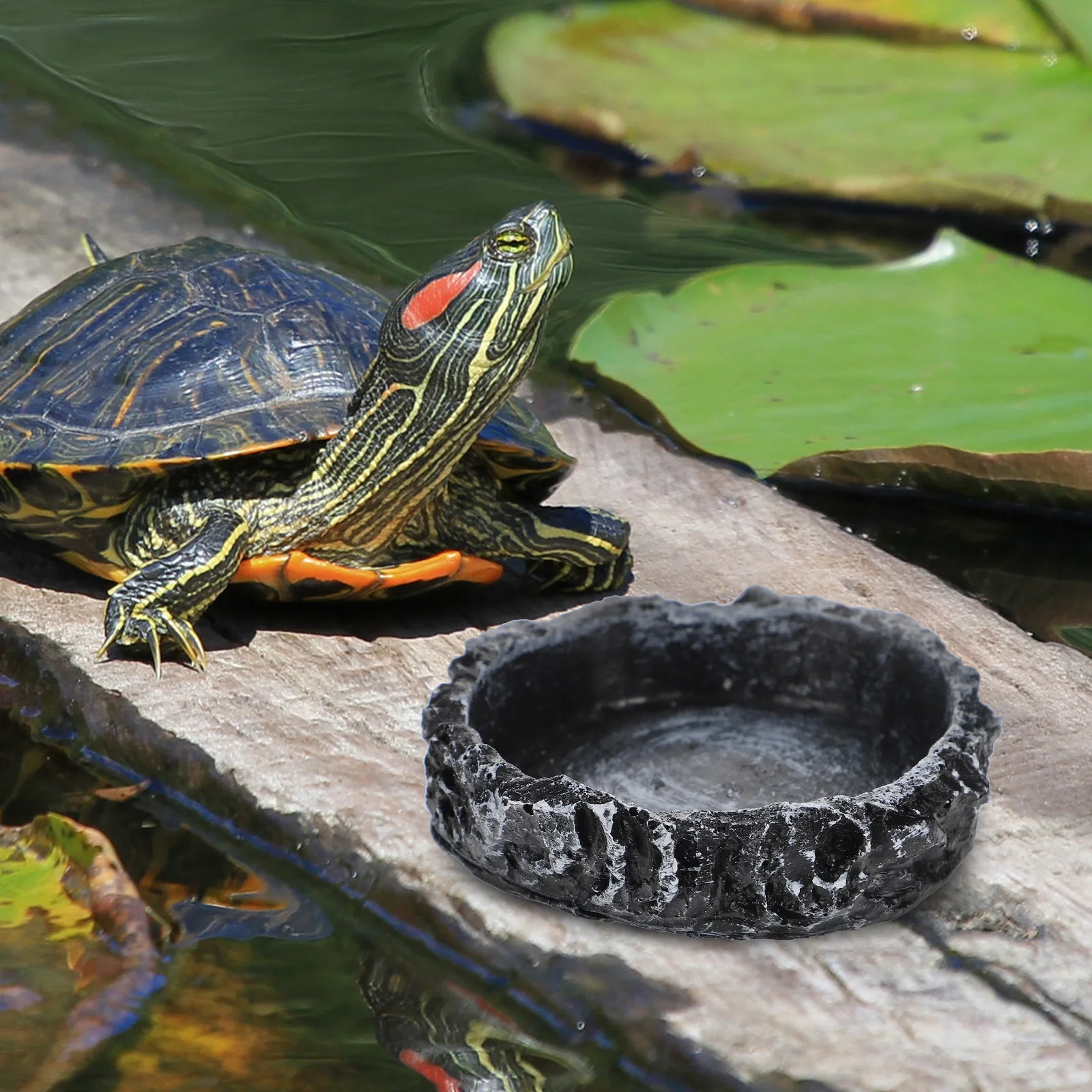 

Tortoise Water Dish Durable Resin Feeder Small Round Edge Size Reptile Food Container Pet Bowls
