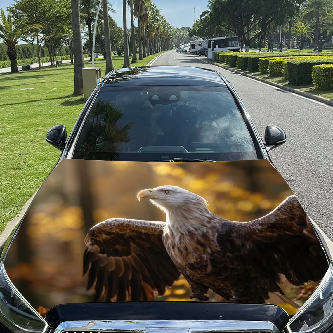Автомобильные наклейки Eagle with a Dazzling, Autumn - Hued and Sky - Soaring Background Наклейка на капот автомобиля, водонепроницаемый самоклеящийся винил
