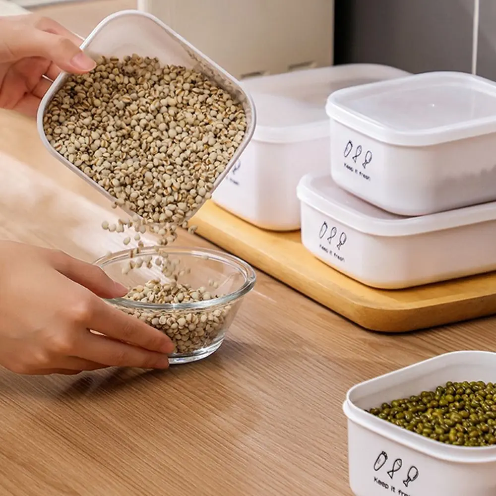 صندوق تخزين الطعام المحمول ذو السعة الكبيرة، صندوق فواكه مجففة بلاستيكي لحفظ الطعام الطازج، منظم ثلاجة مقاوم للرطوبة