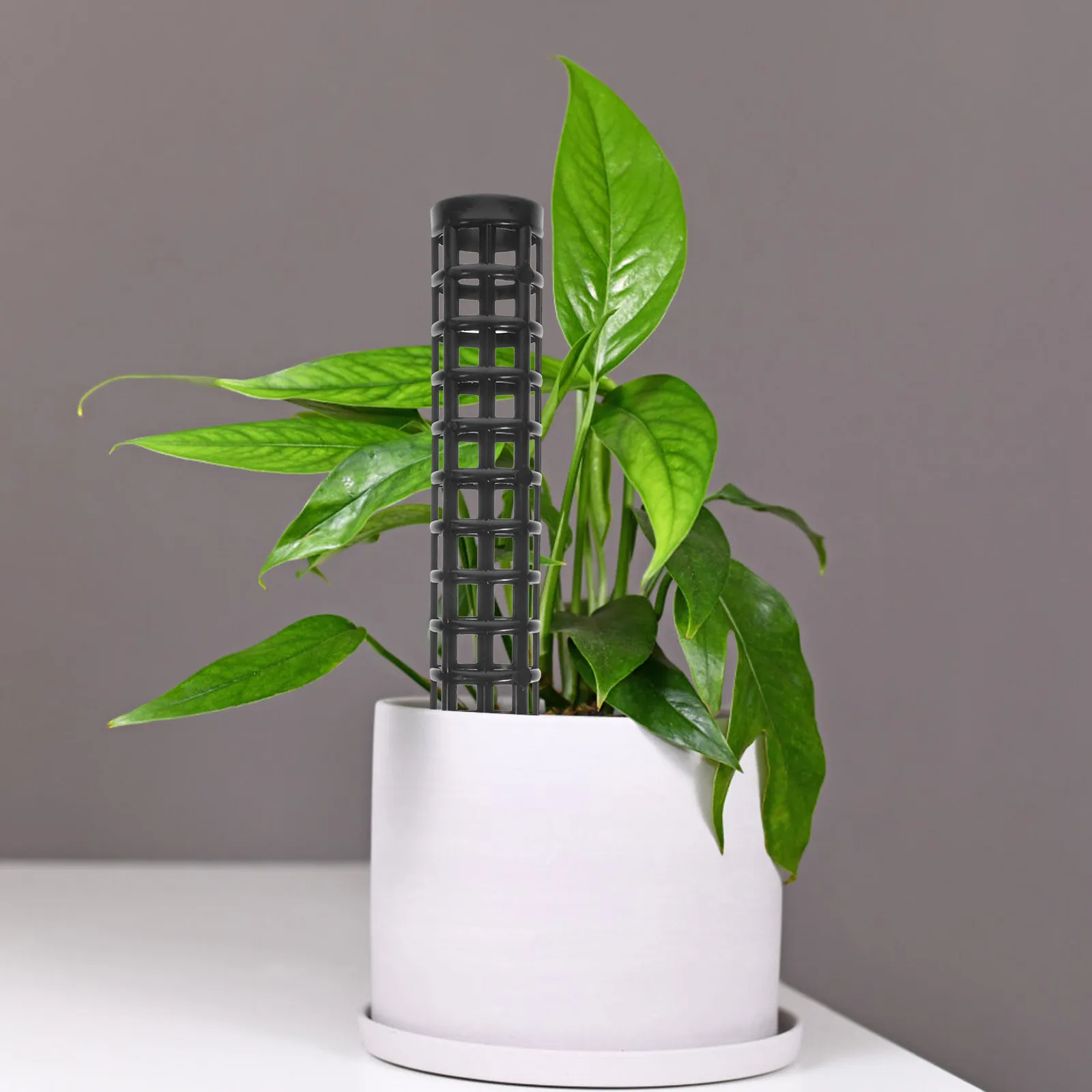 

2 шт. Премиальные пластиковые опоры для растений: для монстеры, денежного растения, сагнума. Поддержка для вьющихся растений, комнатные решетки, садовые принадлежности.