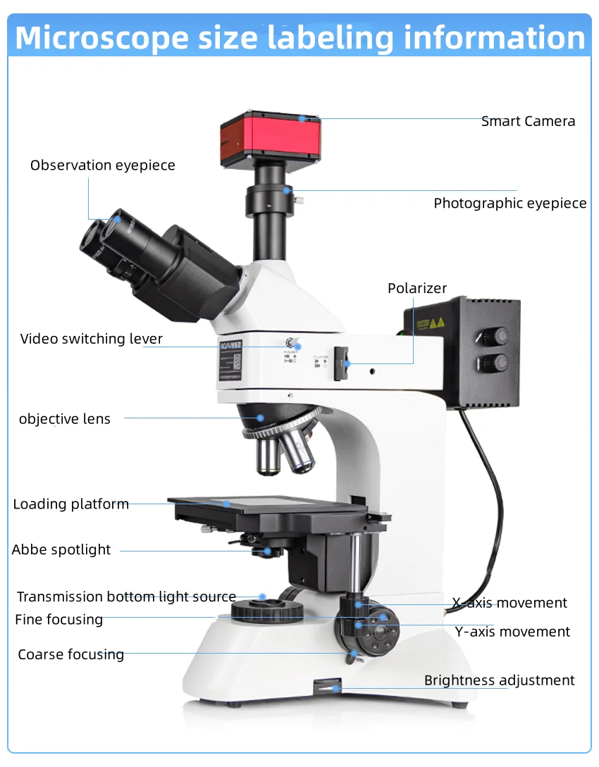 Microscopio metallografico ottico ad alto ingrandimento ingrandimento professionale elettronico 5000 volte Infinite Far System