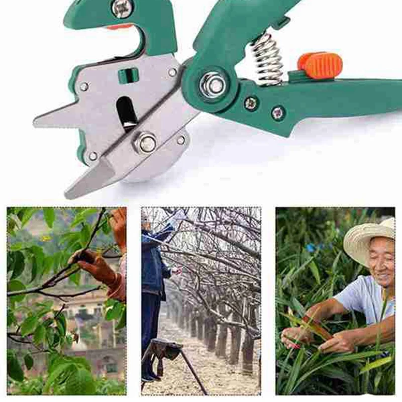 Sécateur de greffage, outil de greffage de jardin, coupe-branches professionnel, sécateur de plantes, boîtes de cisailles durables