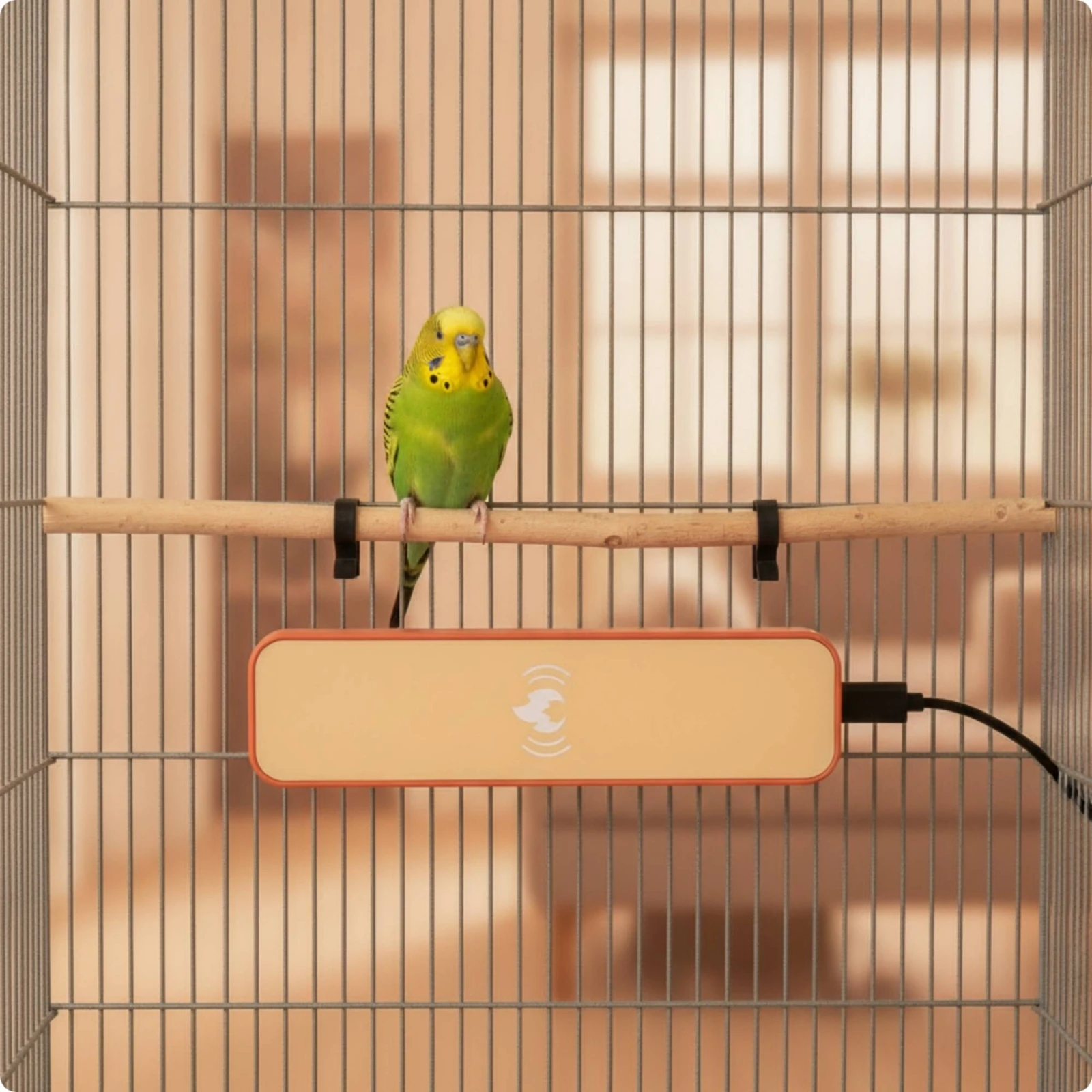 Bird Heat Panel Low-Voltage Constant-Temperature Heating Board Cage Heater Narrow for Parrots, Winter