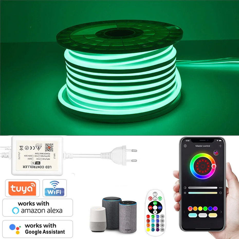 220V LED Neon Strip Light 5050 Waterproof RGB Dimmable Flexible Tape Tuya Smart Wifi/Bluetooth/Remote Control Work with Alexa