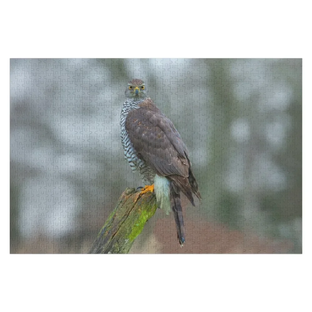 

Goshawk on watch Jigsaw Puzzle Custom With Photo Baby Toy Puzzle