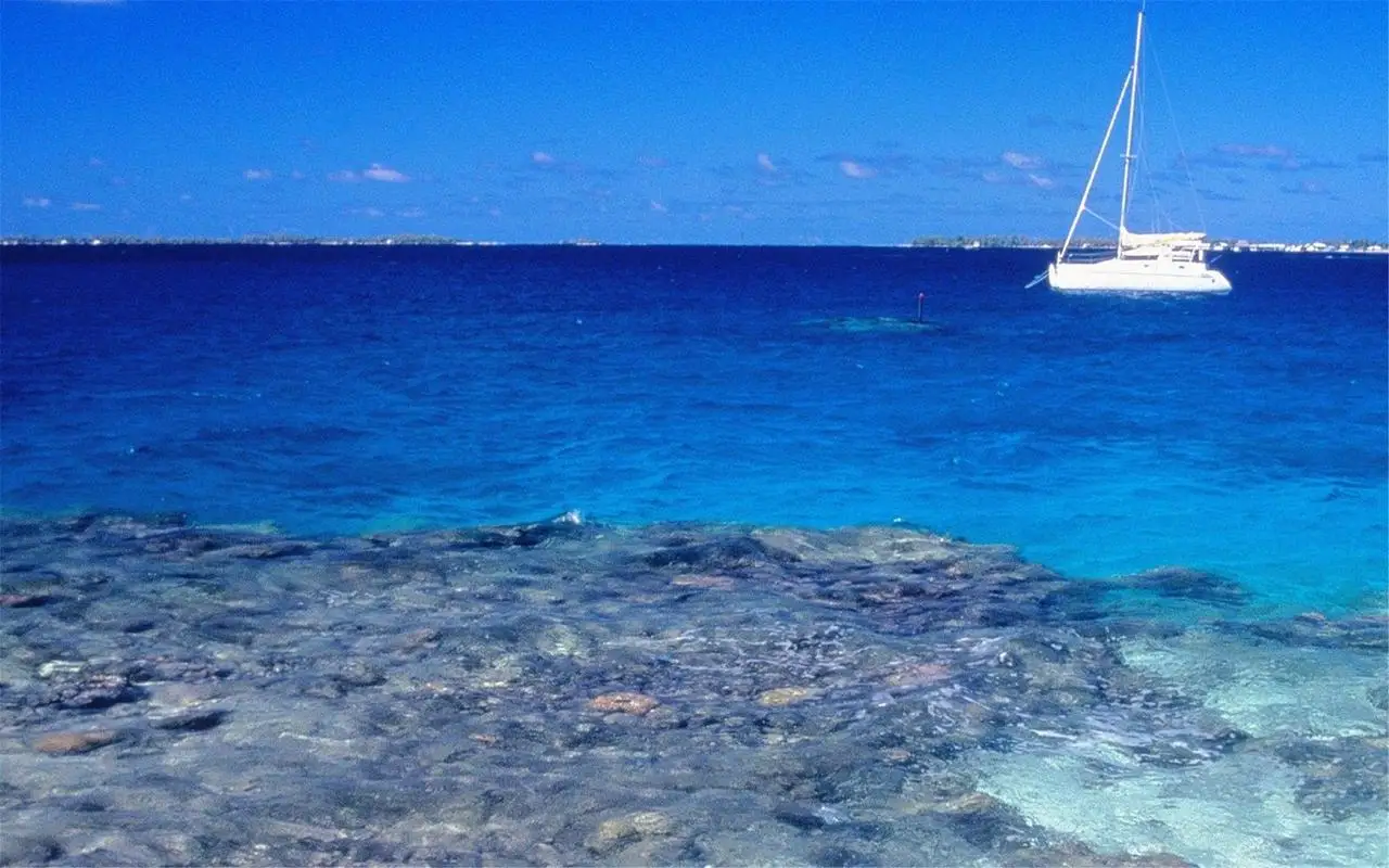 

FPV камера CADDX Ratel Pro — 1500TVL, 9,5 г, легкая, Blacklight, для радиоуправляемых гонок