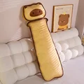 light smile cat