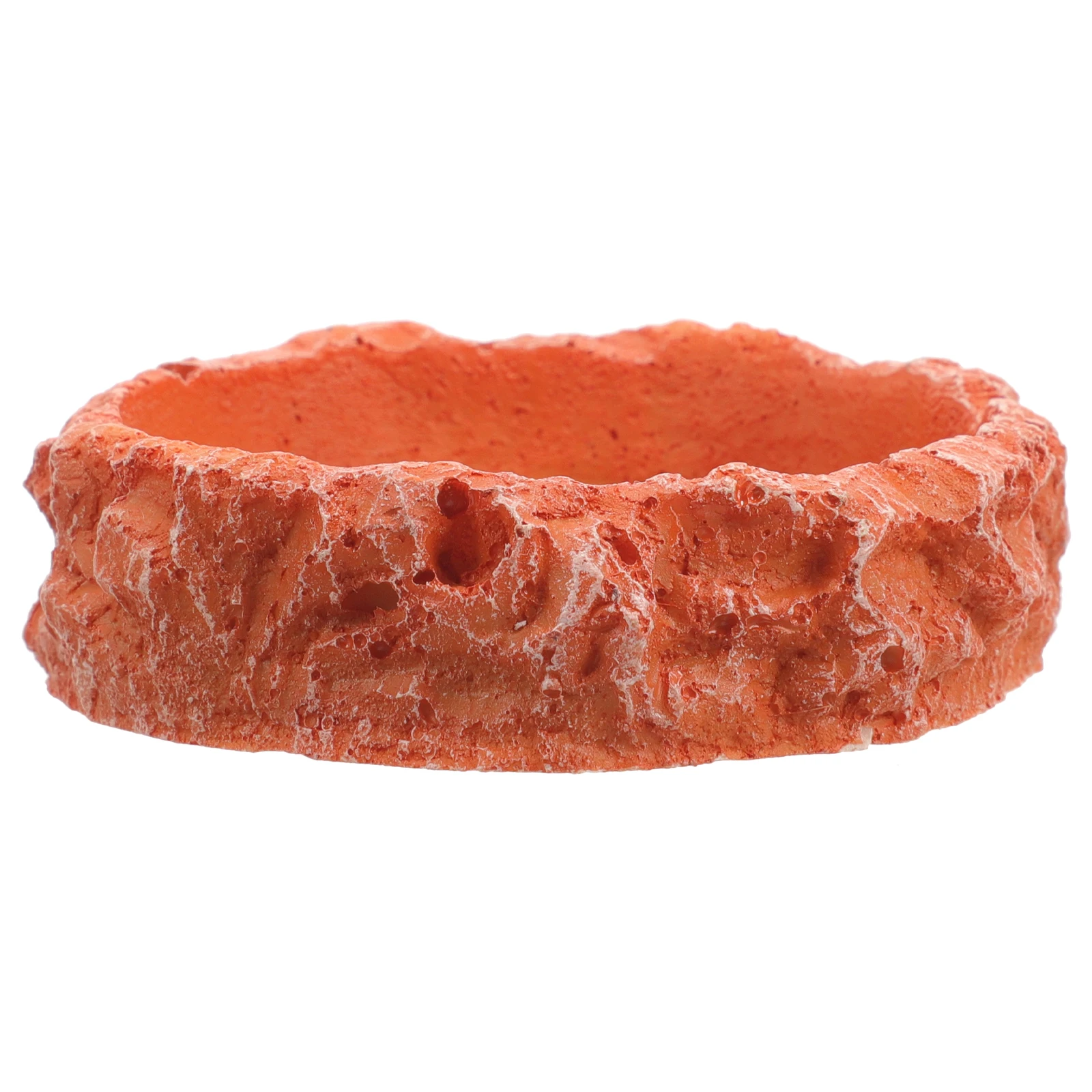 

Reptile Feeding Bowl Resin Dish for Lizards Tortoises Small Pets Red Non Slip Stable Durable Reptile Food Holder