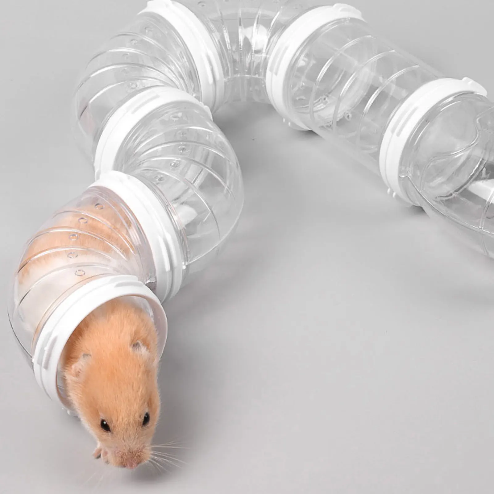 Pet Hamster Transparent Runway Toy Set Pigs Hedgehog Tunnel Playing Tools Solid Color Small Pets Animal Cage Accessories