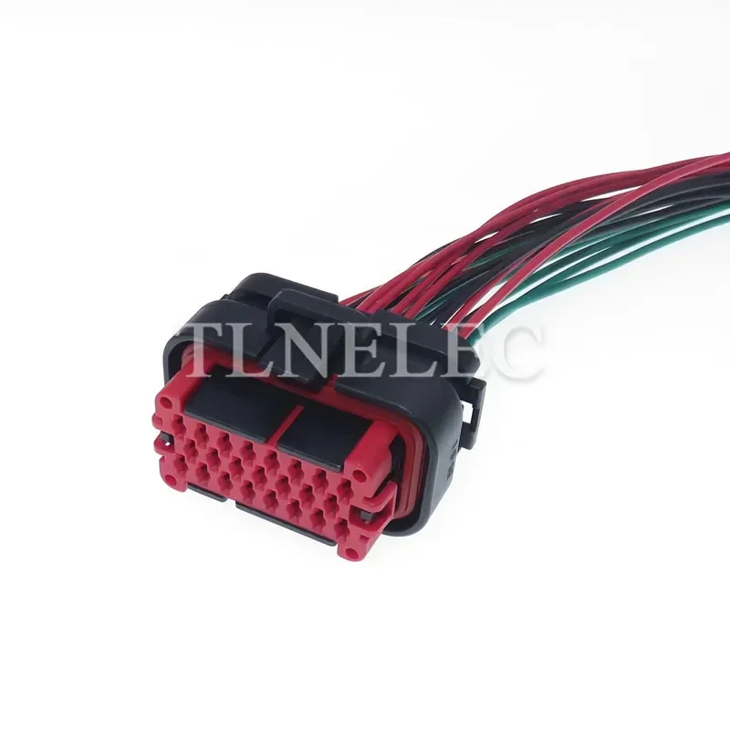 23 Pin Way Tyco Automotive Waterproof AMP Sealed Connector With Crimp Terminals With Wires 770680-1 776228-1