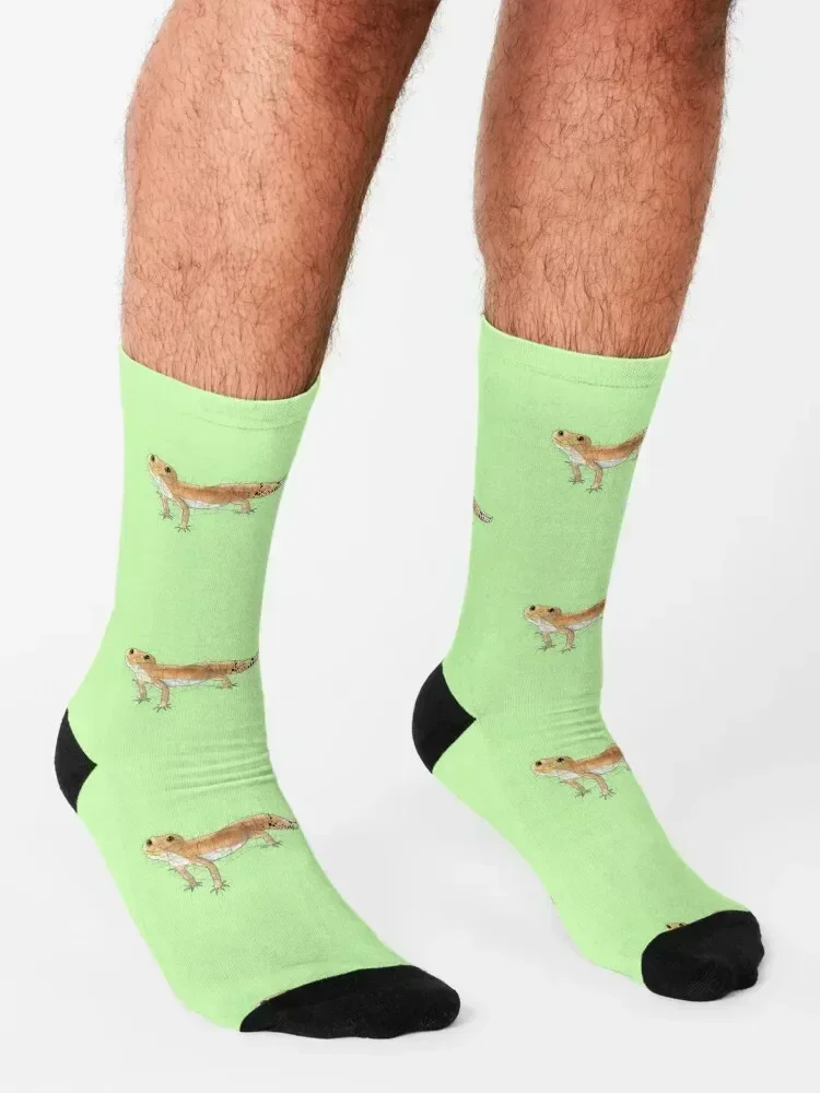 Geckos Socks essential Run hip hop Crossfit Socks For Man Women's