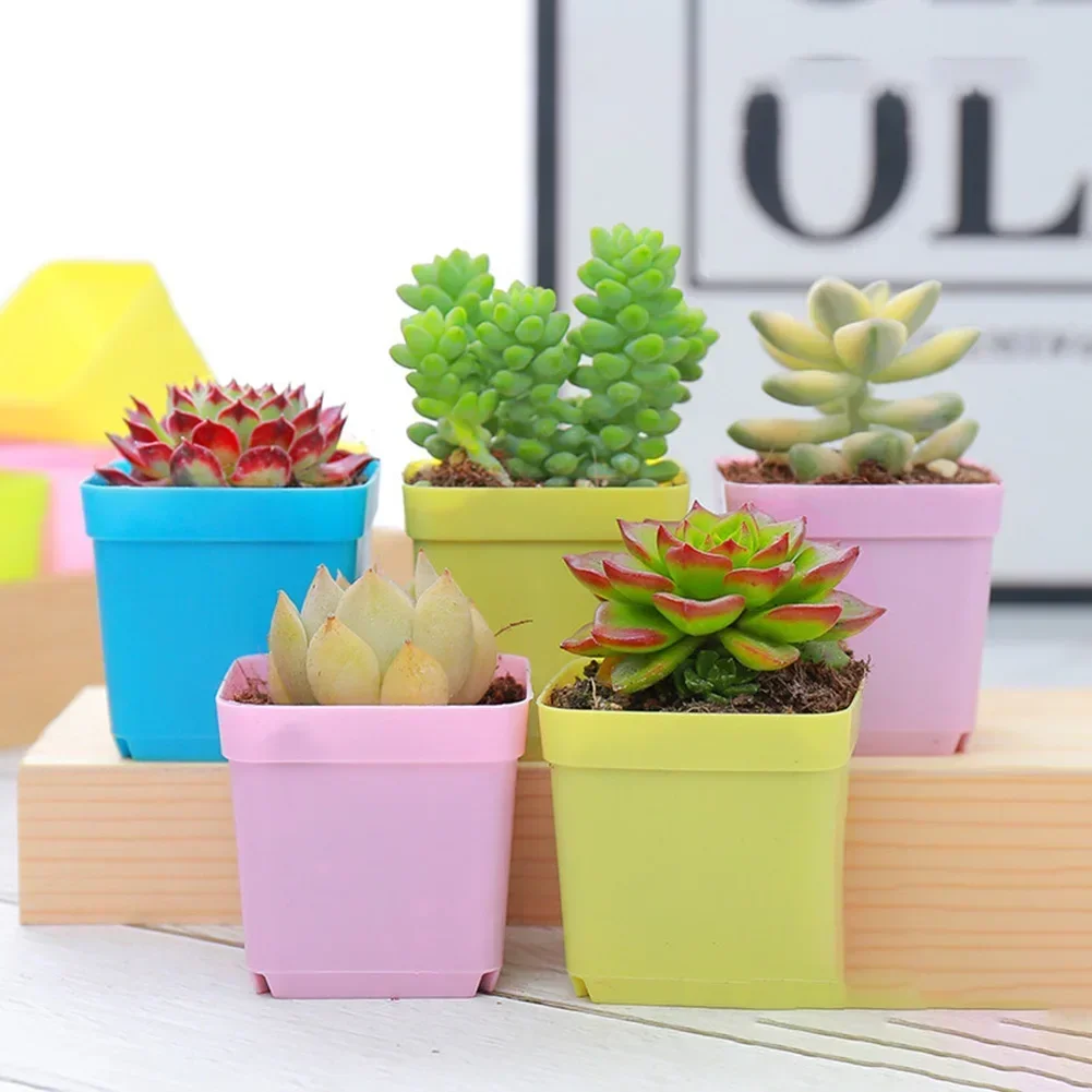 Fashion 10 PCS Plastic Flower Pot Colorful Succulent Flower Pot -SeedlingSmall Square Pot 5.5cm Pot Basin Small Square Container