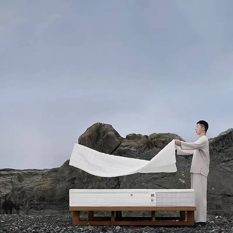 

Soft Hybrid Mattresses Memory Foam Waterproof Firm Sleeping Air Mattresses Latex Lit Pliable Spring Matrassen Bedroom Furniture