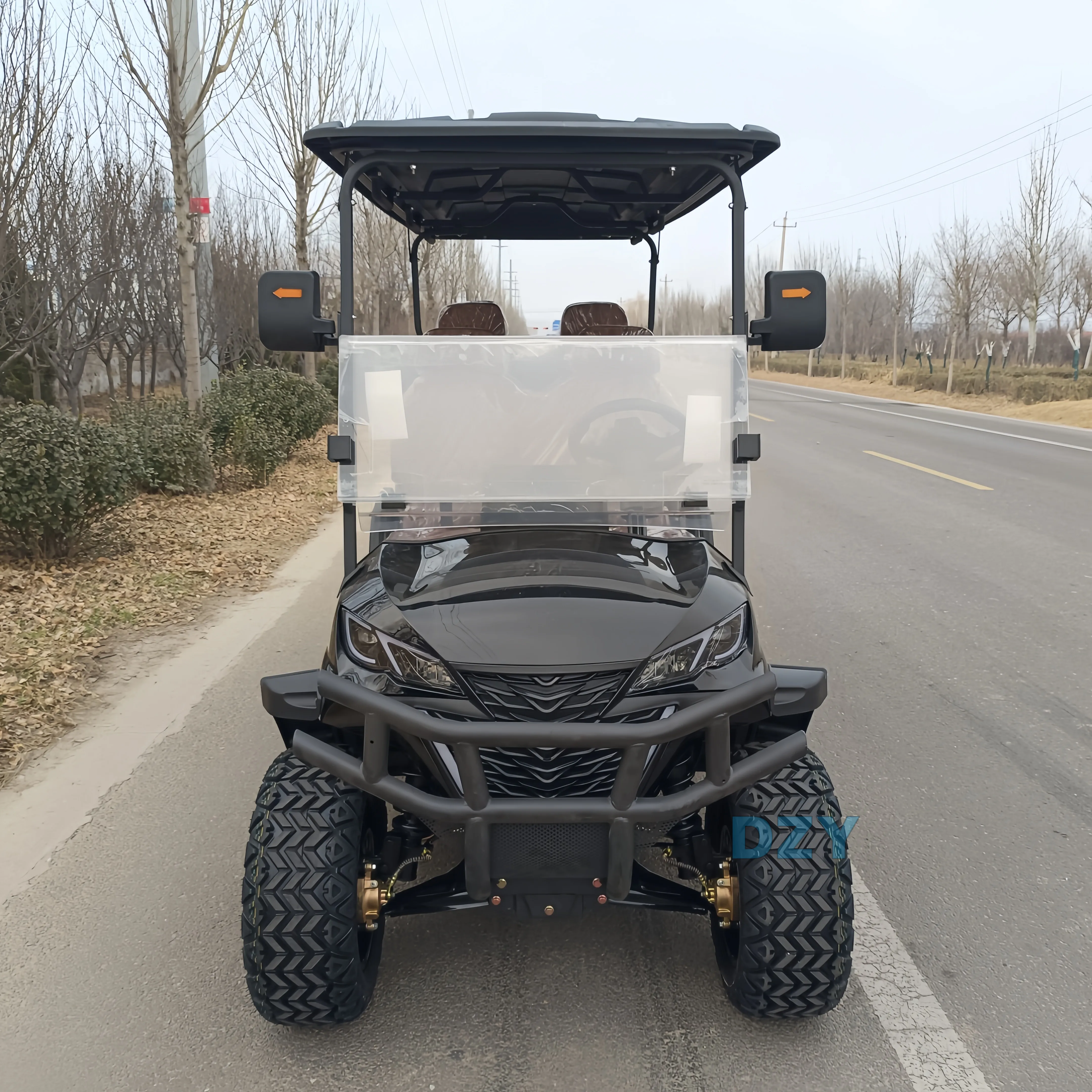 Custom Off Road 48V 72V Lithium Battery Electric Golf Cart Hunting Golf Buggy Electric Scooter Car  electric mini car