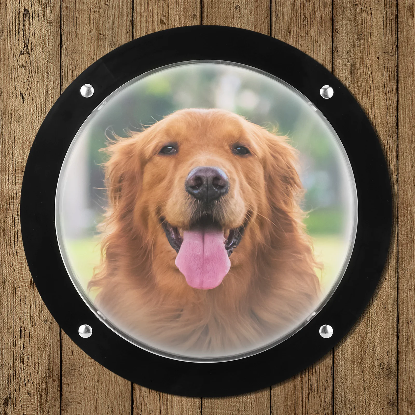 

Acrylic Dome Dog Porthole Window Bubble Peek Window Dog Window for Doggie/Cat/Horse Outside Playground Garden