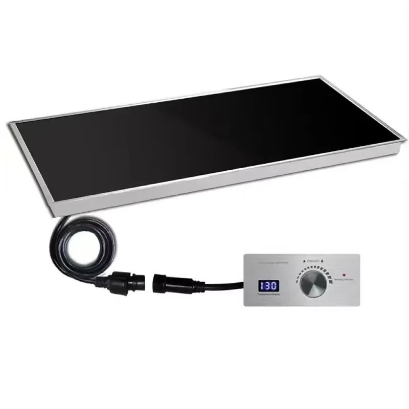 Buffet Warmer 220V Built-in Food Heating Plate 250W Stainless Steel for Hotel Catering Service
