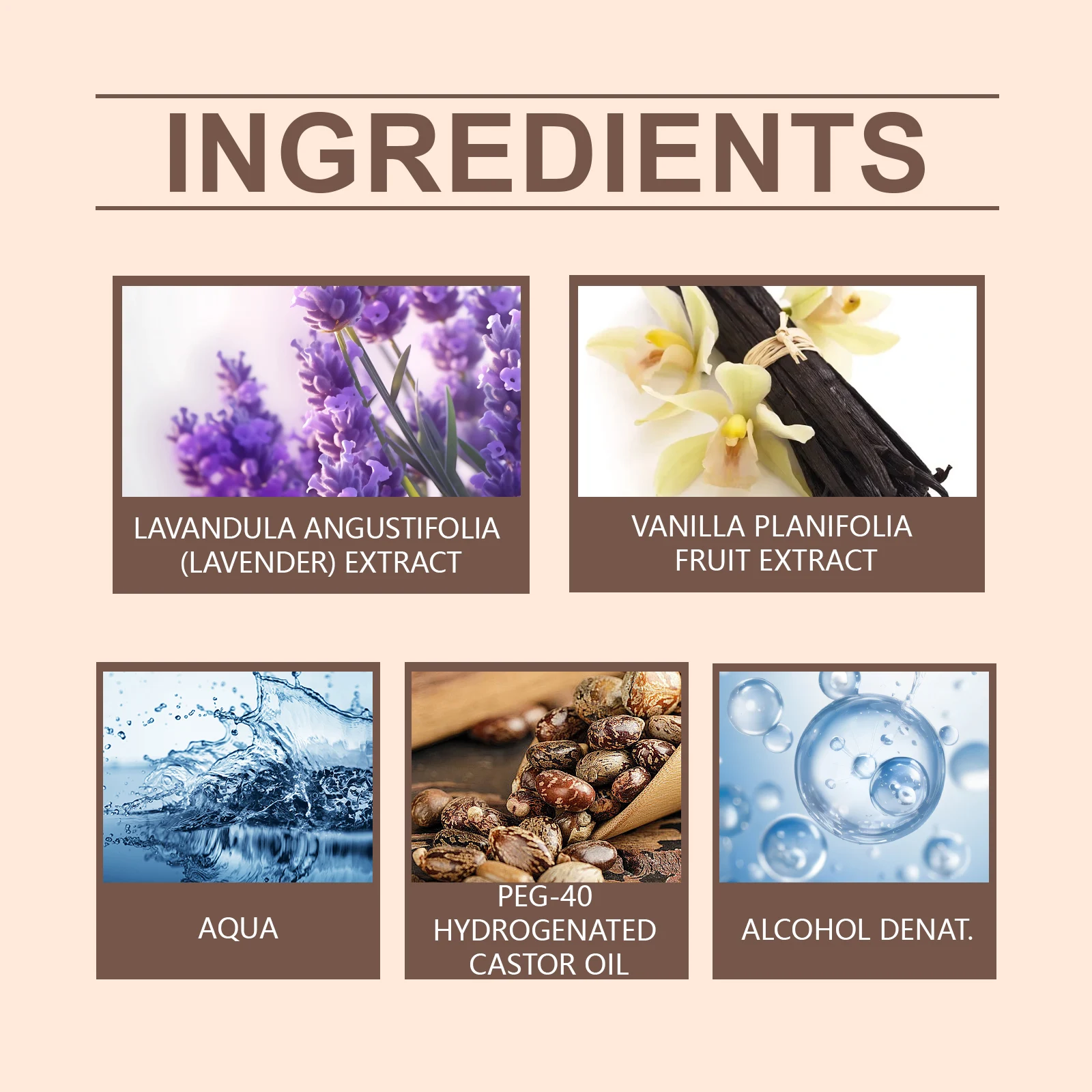 10ml Lavender Vanilla Eau De Parfum Spray Long Lasting Floral Fragrance Travel Size Mini Perfume for Women view 5